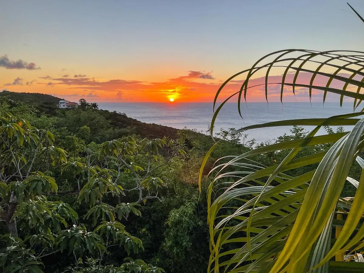 ** Гостевой дом Villa Caribbean Dream Вьё-Фор Сент-Люсия