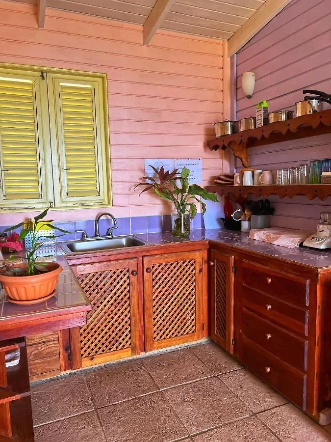 Villa Caribbean Dream Vieux Fort 2*,