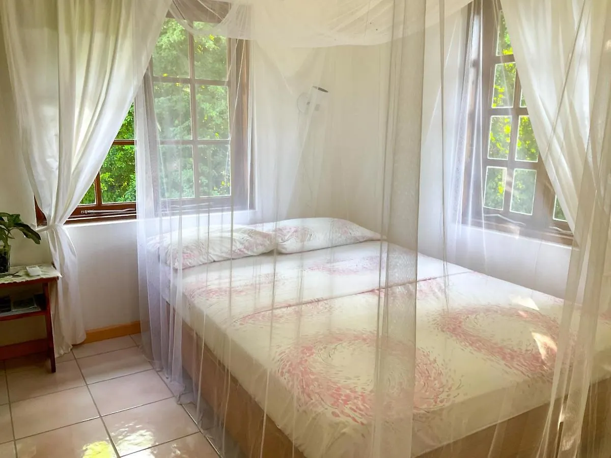 ויו פורט Villa Caribbean Dream ויו פורט